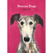 Rescue Dogs