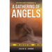 Moorland Forensics - A Gathering of Angels