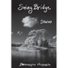Swing Bridge
