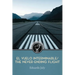 El vuelo interminable / The Never-Ending Flight