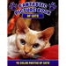 Fantastic Picture Book of Cats. 40 Color Photos of Cats: Cat Names Picture Book Gift for Adults & Seniors with Alzheimer's.