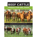 Beef Cattle Production and Trade