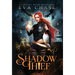 Shadow Thief