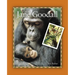 Jane Goodall