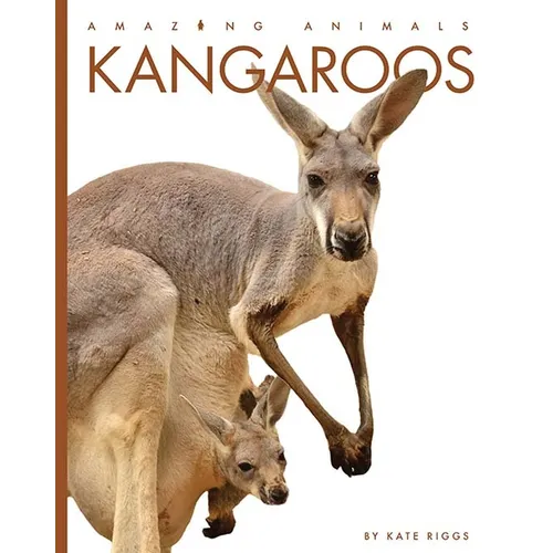 Kangaroos