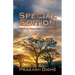 Special Edition: A Drug Dealer's Dead End