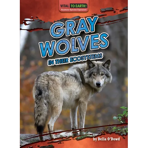 Gray Wolves in Their Ecosystems