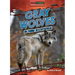 Gray Wolves in Their Ecosystems