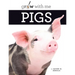 Pigs