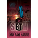 Seth: A Small Town, Enemies to Lovers, Protector Romance