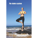 The chakra system: The energy vortexes within