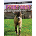 Pygmy Goat