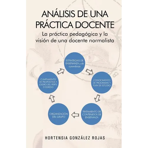Analisis de Una Practica Docente: La Practica Pedagogica y La Vision de Una Docente Normalista
