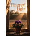 Filtered Light: A Novel of Grace and Redemption
