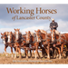 Working Horses of Lancaster County