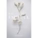 (Un)Faithful: Finding Healing After Your Husband's Affair (Whether Your Marriage Survives Or Not)