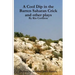 A Cool Dip in the Barren Saharan Crick and other plays