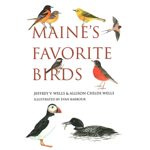 Maine's Favorite Birds