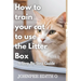 How to train your cat to use the litter box: A Step-By-Step Guide