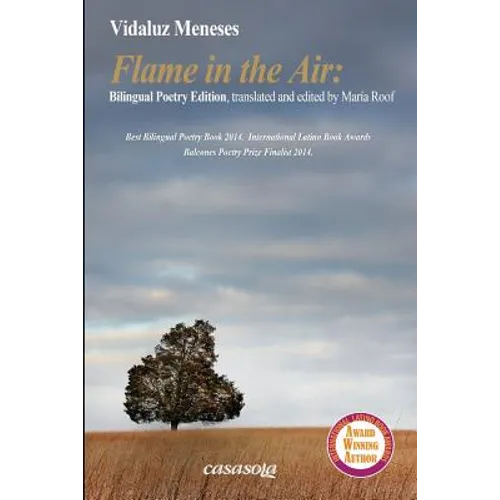 Flame in the Air Second Edition
