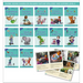 Phonic Books Dandelion Readers Further Spellings and Suffixes Level 4: (Alternative Spellings for Vowels and Consonants, Alternative Sounds for the Sp