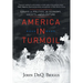 America in Turmoil: Essays on Politics, the Economy, Society, and the Future