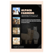 Alpaca Farming Essentials: Complete Guide to Alpaca Rearing, Raising, Breeding & Management - Expert Tips for Sustainable Husbandry, Health, Nutr
