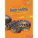 Anacondas: Nature's Biggest Snake