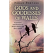 Pagan Portals - Gods and Goddesses of Wales: A Practical Introduction to Welsh Deities and Their Stories