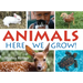Animals!: Here We Grow