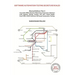 Software Automation Testing Secrets Revealed: Revised Edition - Part 1