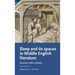 Sleep and Its Spaces in Middle English Literature: Emotions, Ethics, Dreams