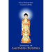 Thinking of Amit Bha Buddha