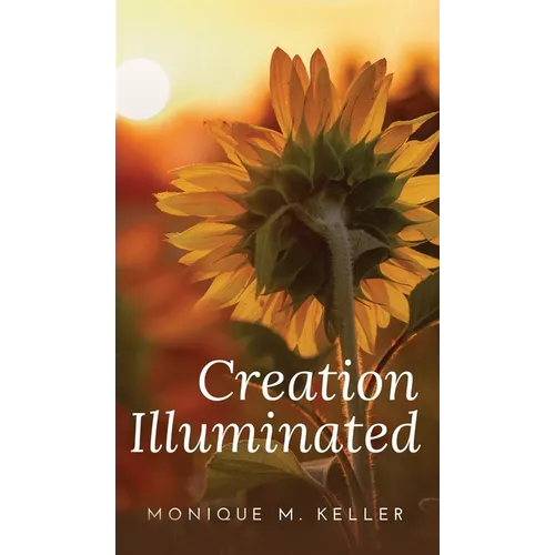 Creation Illuminated