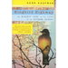 Kingbird Highway: The Biggest Year in the Life of an Extreme Birder