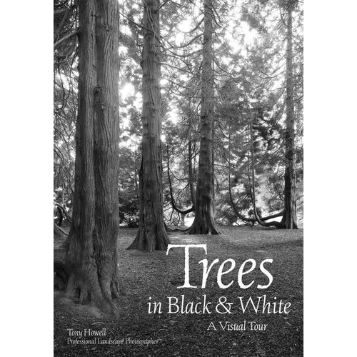 Trees in Black & White: A Visual Tour