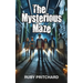 The Mysterious Maze