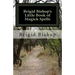 Brigid Bishop's Little Book of Magick Spells: 21st Century Magick
