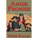 Amish Promise: A Sequel to Amish Dilemma