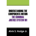 Understanding the Components Within the Criminal Justice System 101
