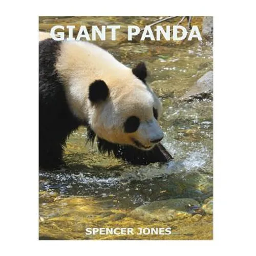 Giant Panda