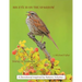 His Eye Is on the Sparrow: A Devotional Inspired by Nature: Volume I