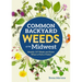 Common Backyard Weeds of the Midwest: Identify 157 Weeds and Know What to Pull or Protect