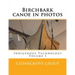 Birchbark canoe in photos