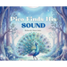 Pico Finds His Sound