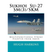 Sukhoi Su-27SM(3)/SKM: Multifunctional Strike Fighter from Amur