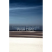 Tripping Daylight