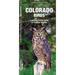 Colorado Birds: A Folding Pocket Guide to Familiar Species