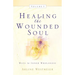 Healing the Wounded Soul, Vol. I