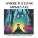 Where the Dank Memes Are